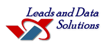 leads and data solutions logo.