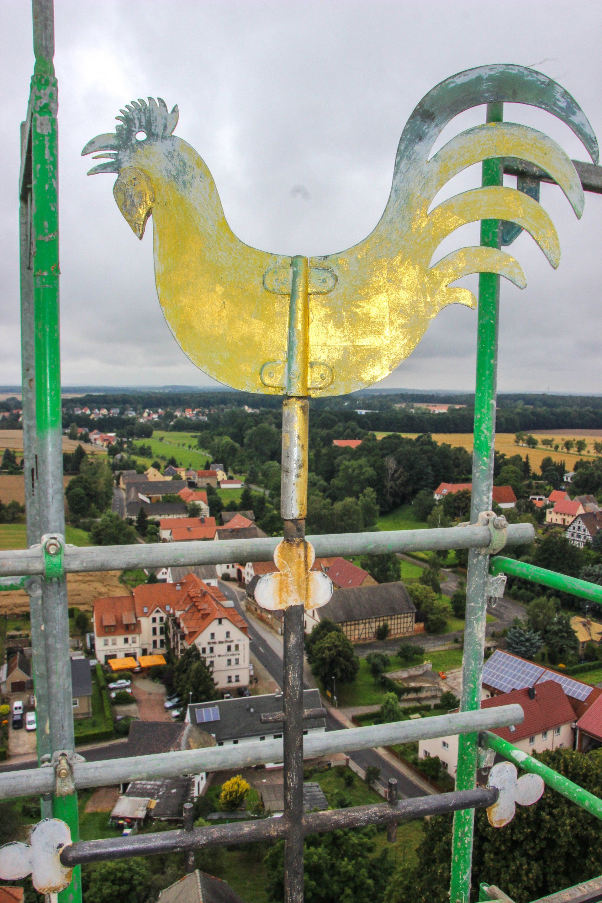 Galerie Für Greifenhain e.V. gemeinnützige Verein für Greifenhain