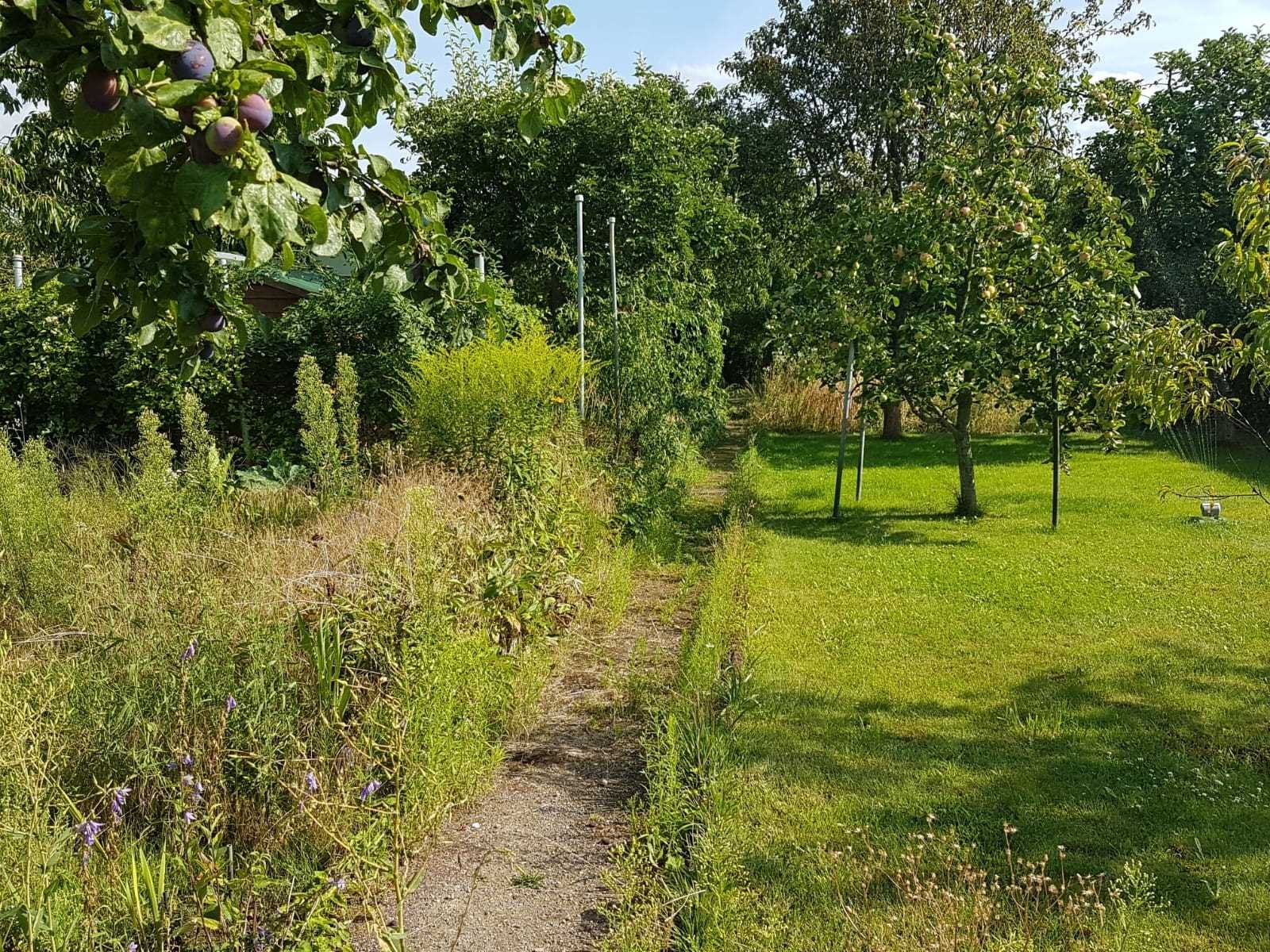 Gartensparte Paulinenhof Frankfurt (O.), Garten in