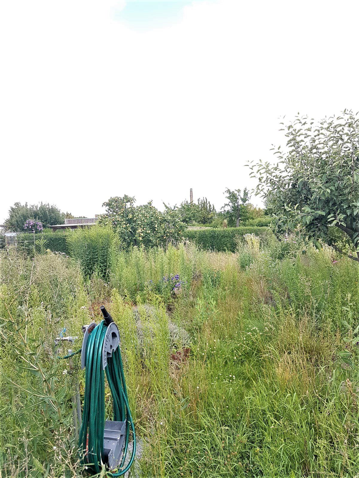 Gartensparte Paulinenhof Frankfurt (O.), Garten in