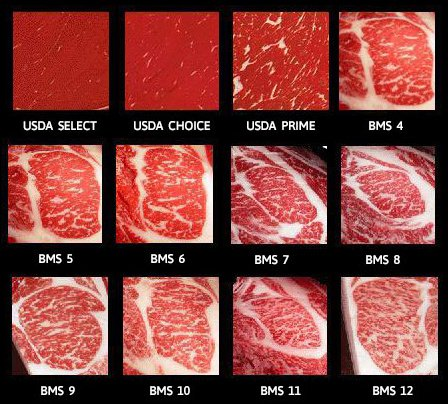 Beef Marbling Score BMS