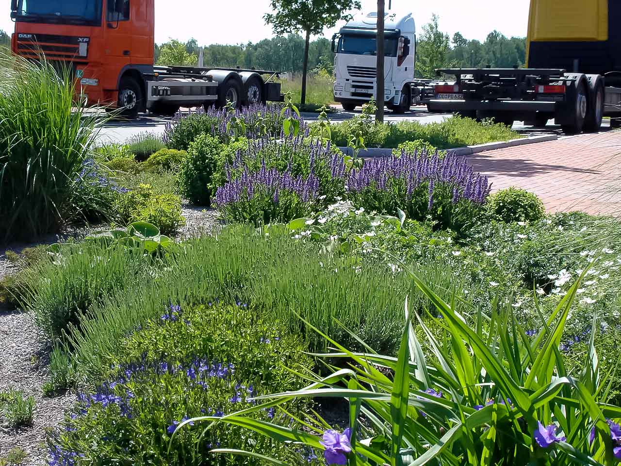 || Grünflachenmanagement