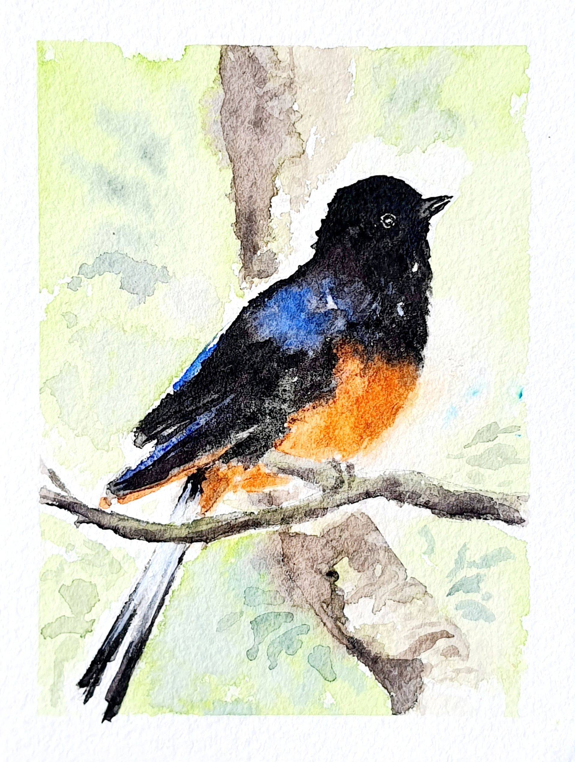 Racoon Waschbär  original Aquarell Watercolor Painting Gemälde Picture Bild handgemalt Baby kids wallart