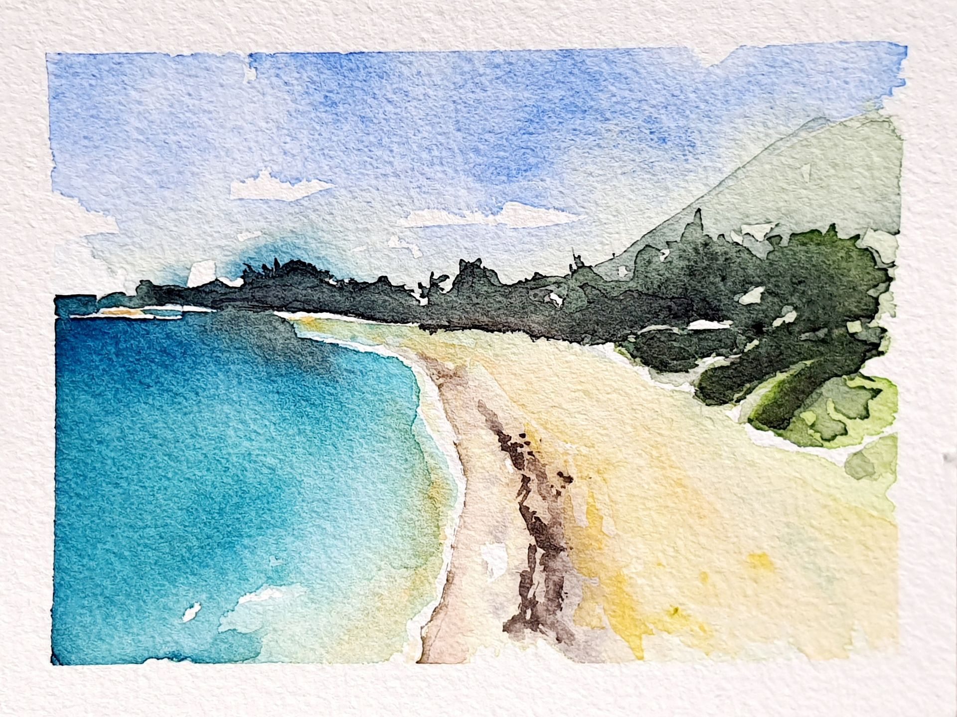 Hase Hare original Aquarell Watercolor painting picture Schnecke snail Kaninchen Rabbit Bunny