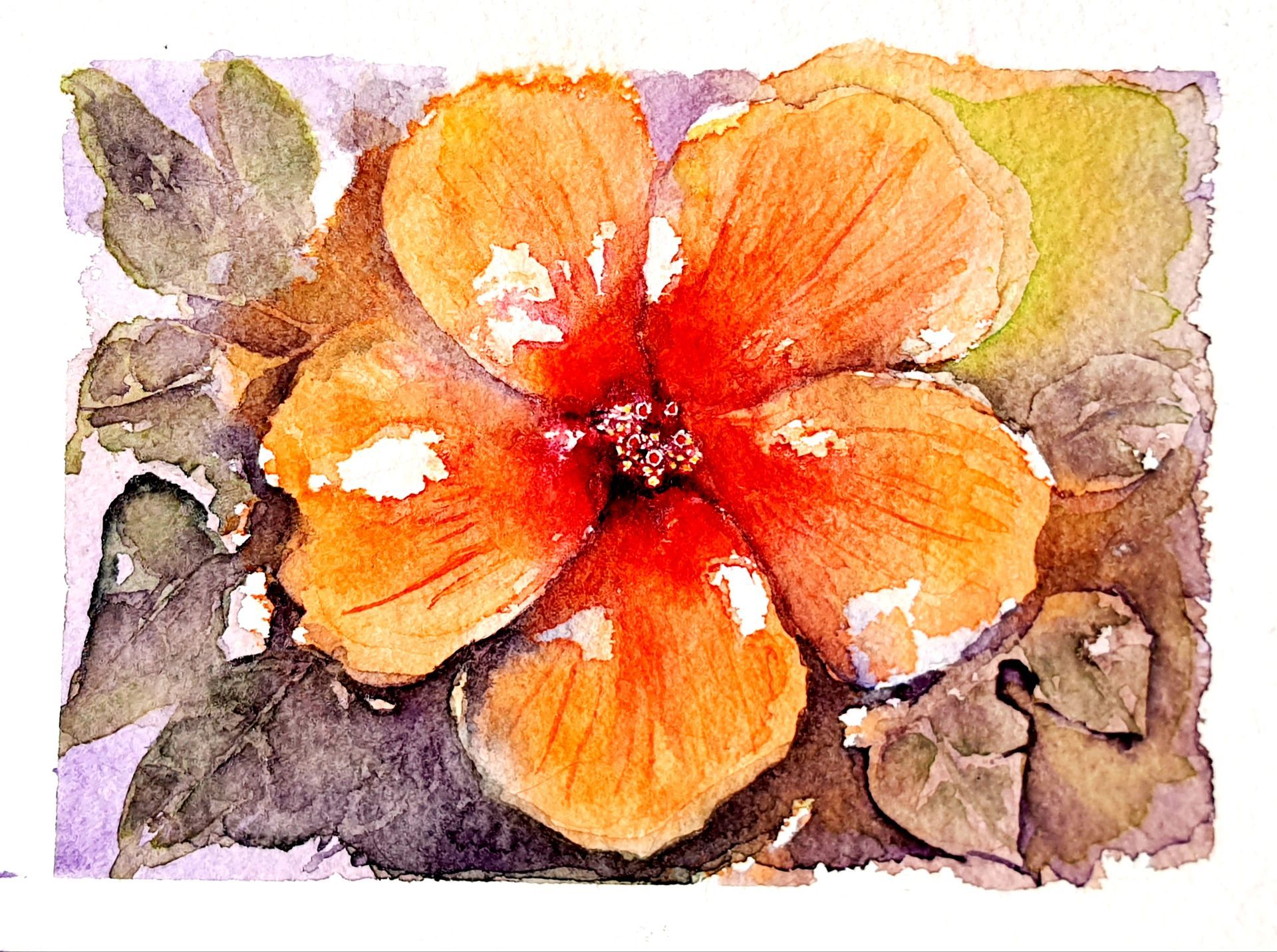 Hase Hare original Aquarell Watercolor painting picture Schnecke snail Kaninchen Rabbit Bunny