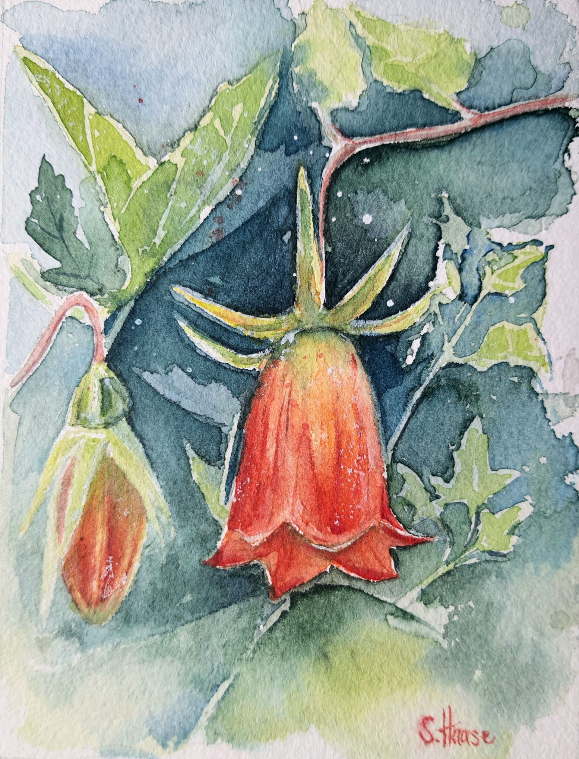 Racoon Waschbär  original Aquarell Watercolor Painting Gemälde Picture Bild handgemalt Baby kids wallart