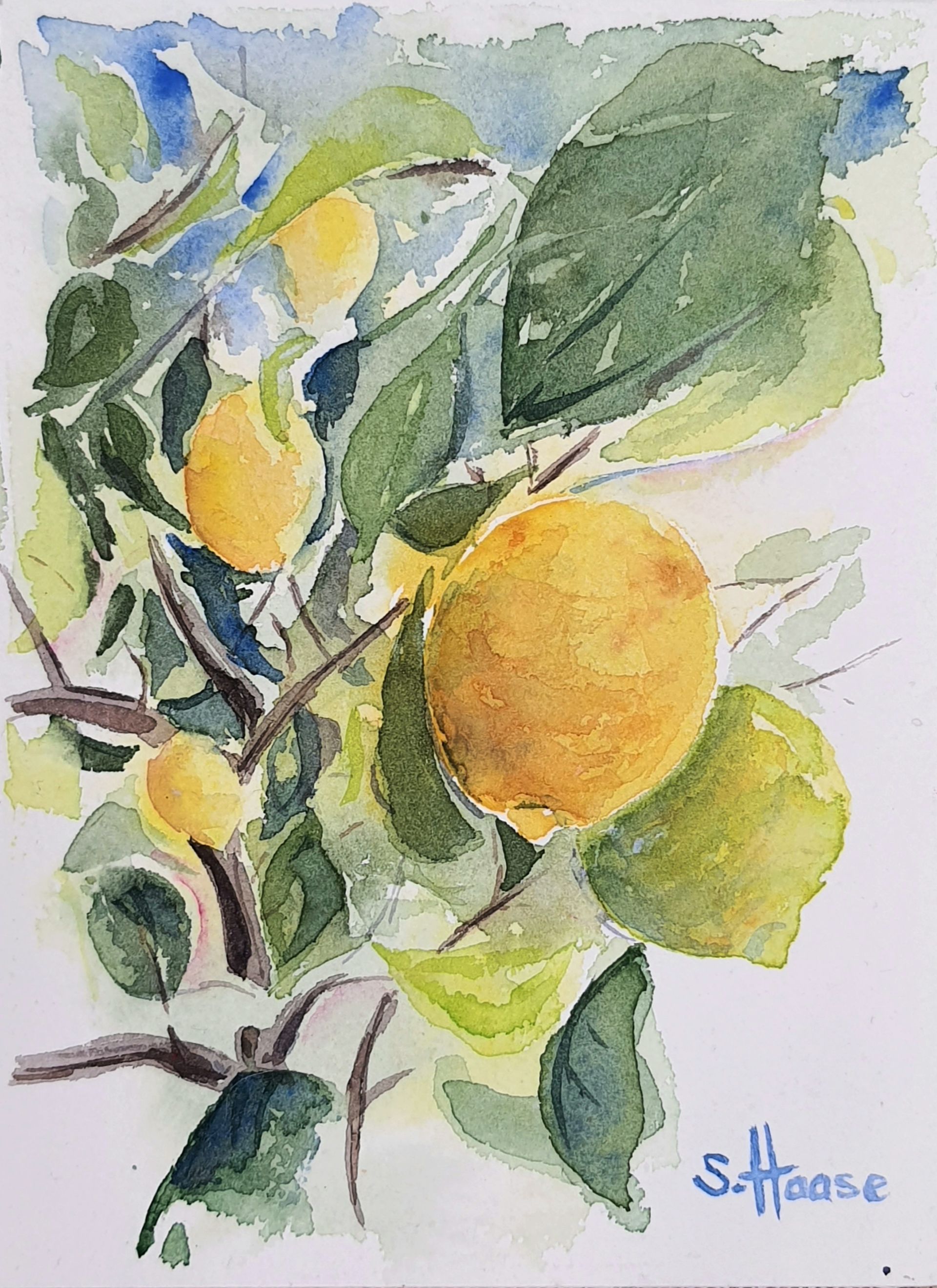 Racoon Waschbär  original Aquarell Watercolor Painting Gemälde Picture Bild handgemalt Baby kids wallart