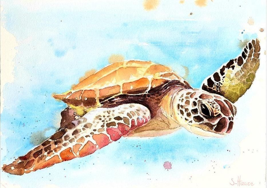 Racoon Waschbär  original Aquarell Watercolor Painting Gemälde Picture Bild handgemalt Baby kids wallart