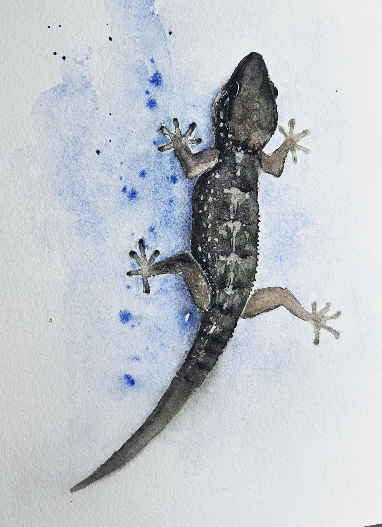 Hase Hare original Aquarell Watercolor painting picture Schnecke snail Kaninchen Rabbit Bunny