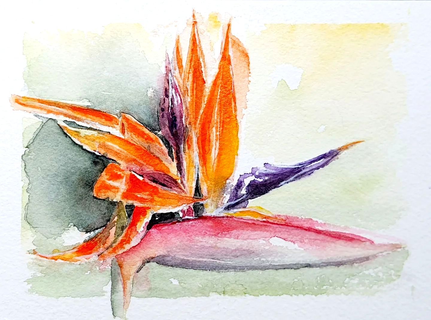 Racoon Waschbär  original Aquarell Watercolor Painting Gemälde Picture Bild handgemalt Baby kids wallart