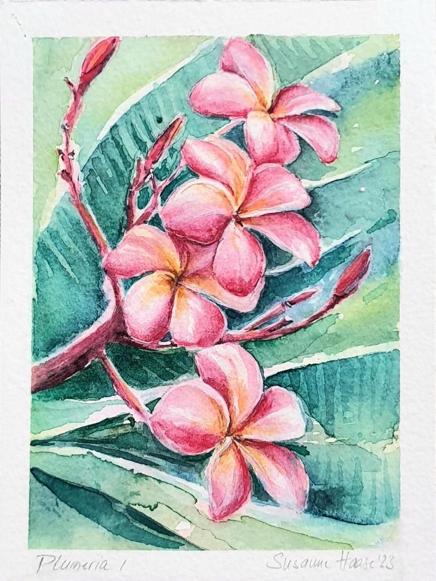 Hase Hare original Aquarell Watercolor painting picture Schnecke snail Kaninchen Rabbit Bunny