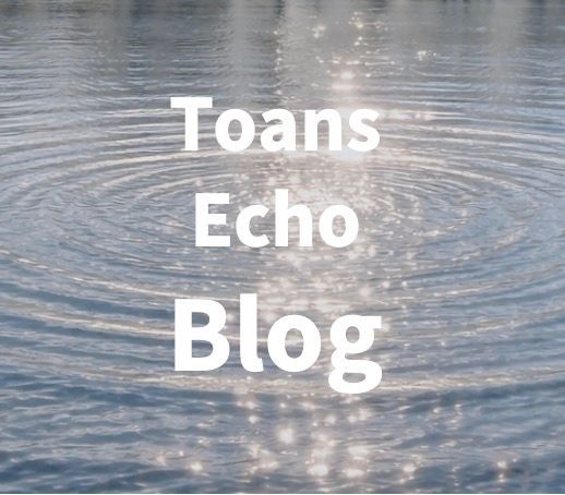 Toans Echo Blog Anja Hermes