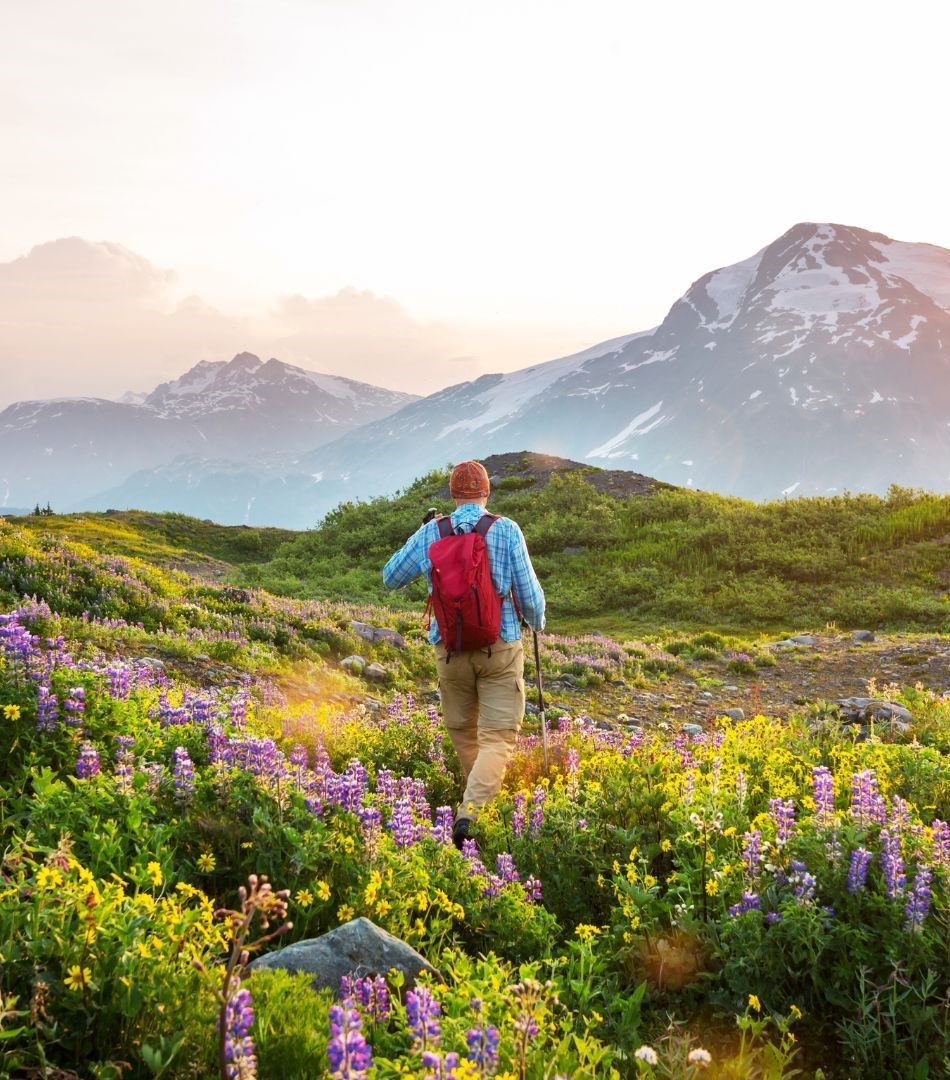 Sommer Gipfelcamp Ischgl