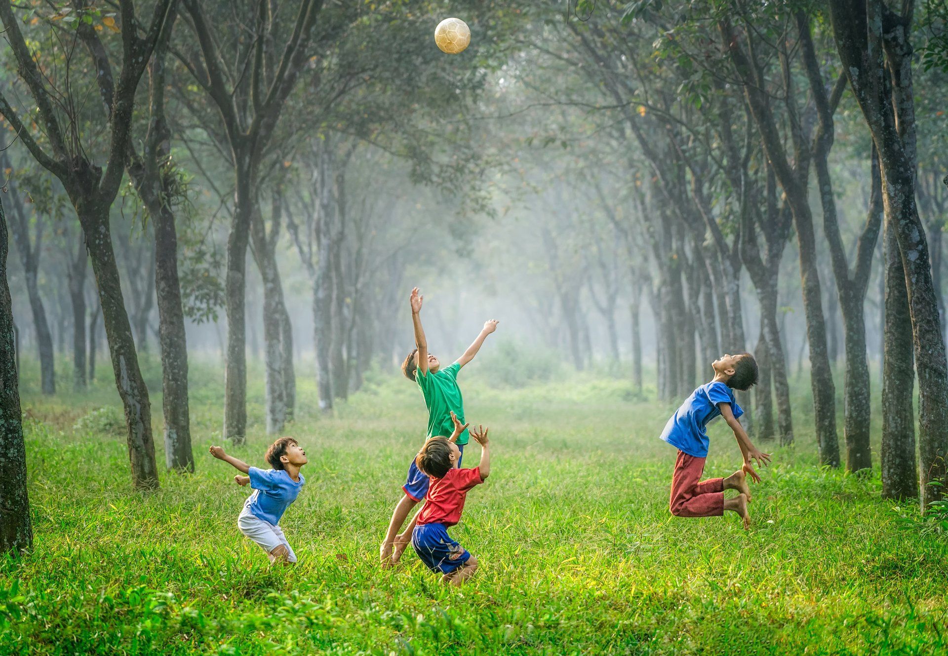 Children playing in tree lined meadow Credit: Robert Collins at Unsplash