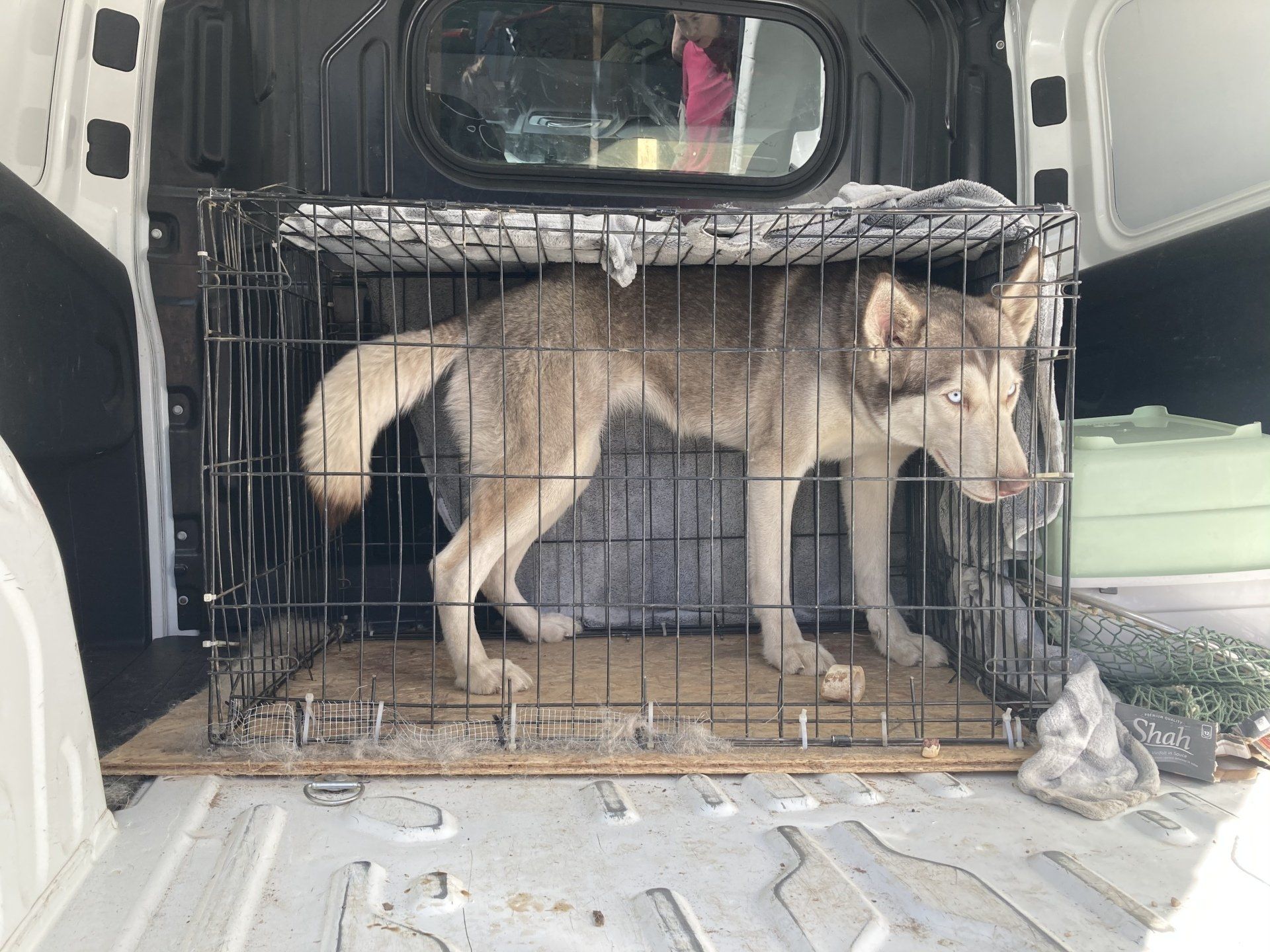 Startseite - Aktiver Tierschutz - Tierheim Arche Noah