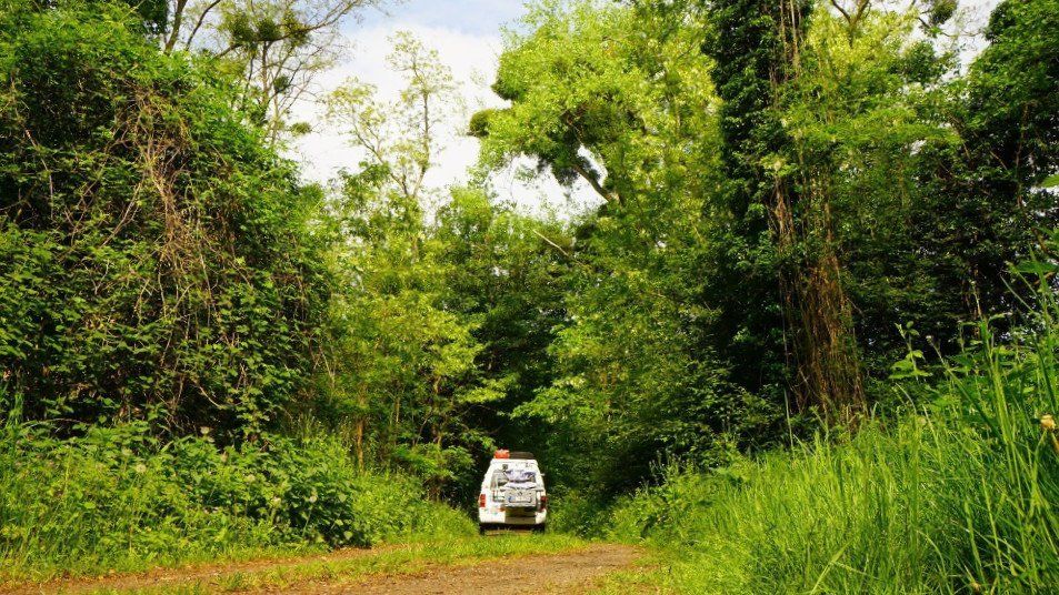 Fiat Scudo Sportivan am Pingsdorfer See, Weltreise mit Camper, Reiseblog, Weltreiseblog, To The World's End