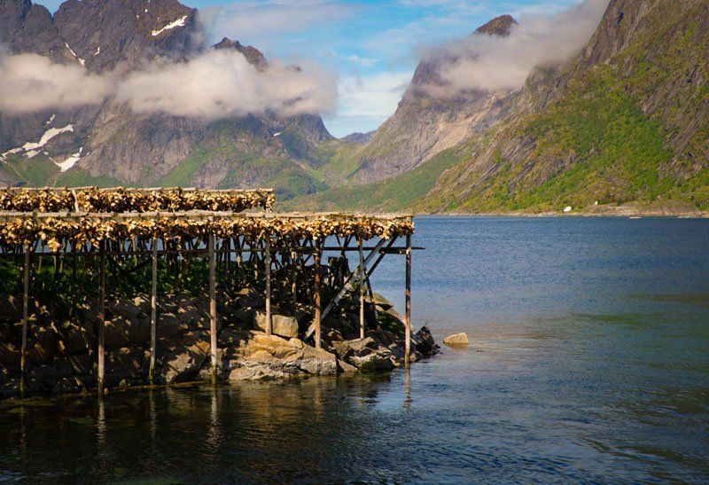 Stockfisch auf den Lofoten, Fjorde in Norwegen, Weltreise, Urlaub in Norwegen, To The World's End