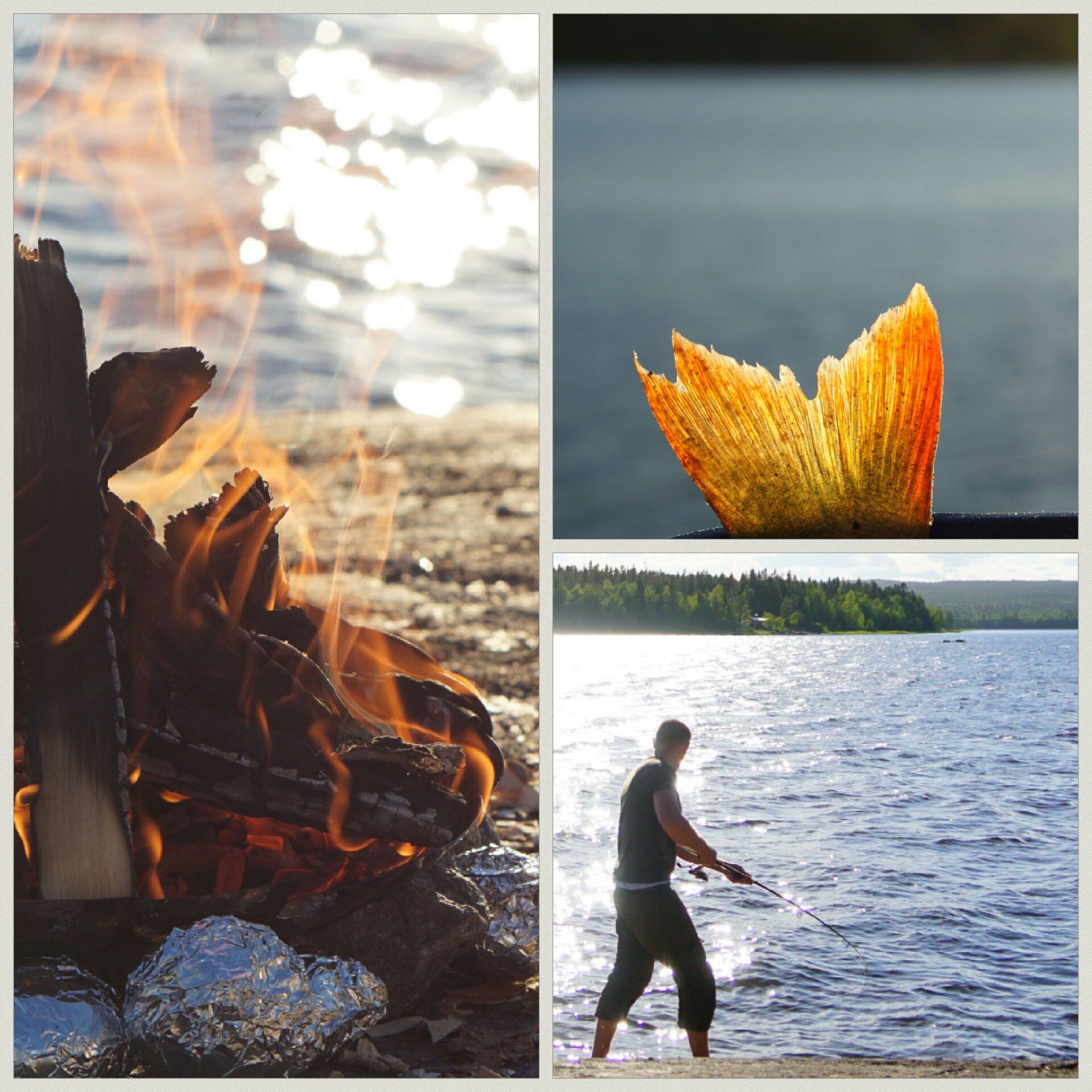 Angeln in Schweden, Logdea, To The World's End, Weltreiseblog, Reiseblog, Weltreise