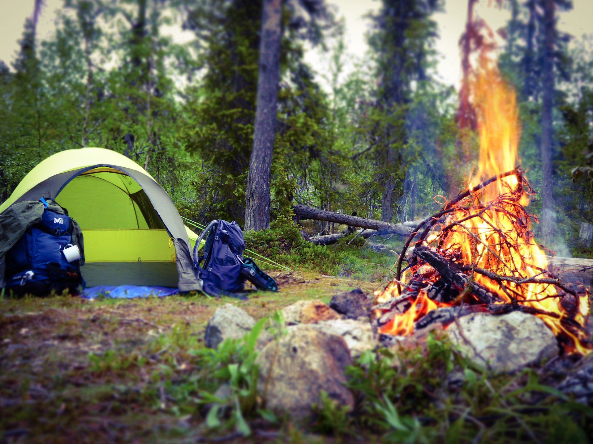 Sarek Nationalpark, Wandern, Lagerfeuer, Schweden, Jedermannsrecht, To The World's End, Weltreiseblog, Reiseblog, Weltreise