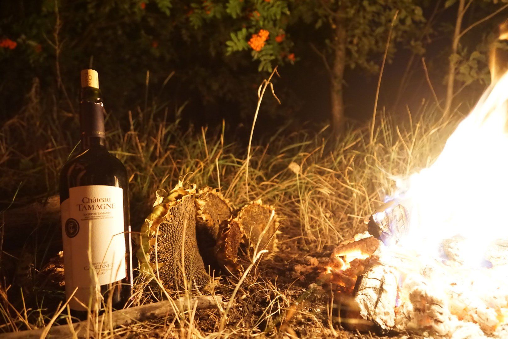 Rotwein am Lagerfeuer in Russland, To The World's End, Weltreiseblog, Reiseblog, Weltreise