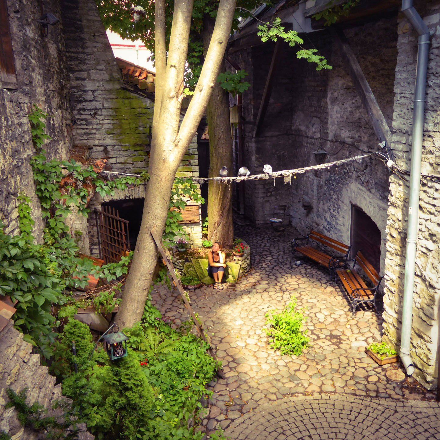 Altstadt in Tallinn, Estland, To The World's End, Weltreiseblog, Reiseblog, Weltreise