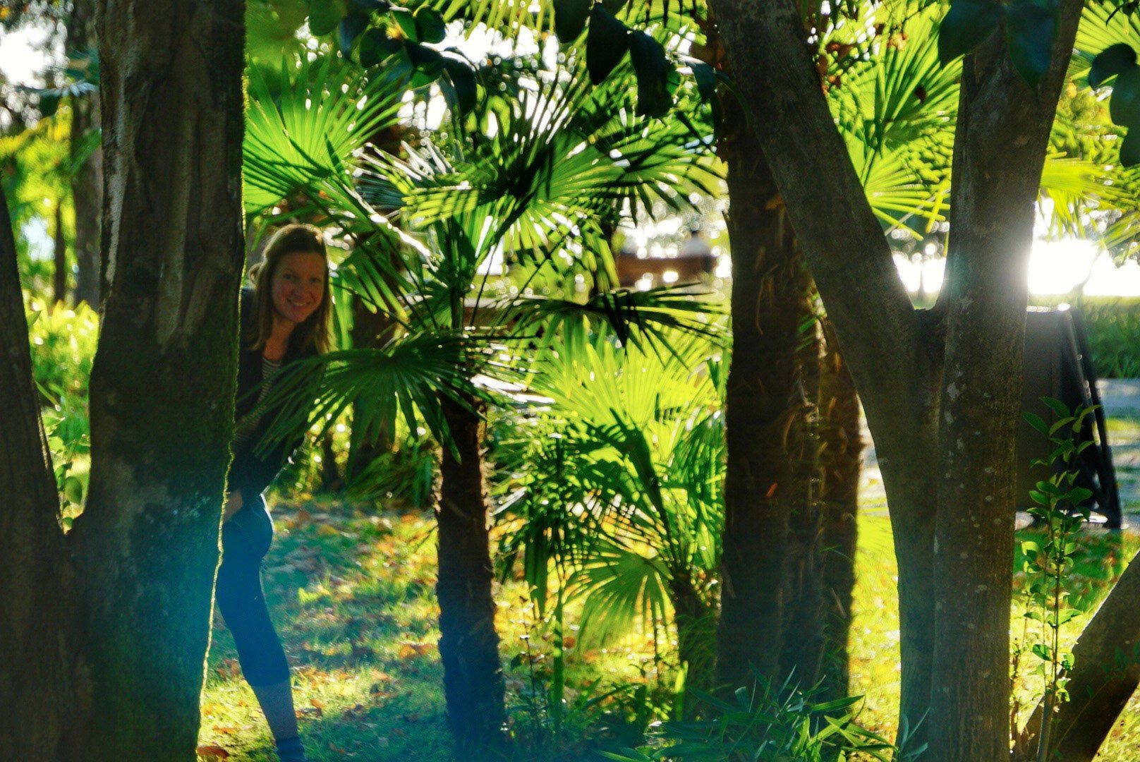 Abchasien, Sochumi, Palmen, Schwarzes Meer, To The World's End, Reiseblog, Weltreise Blog