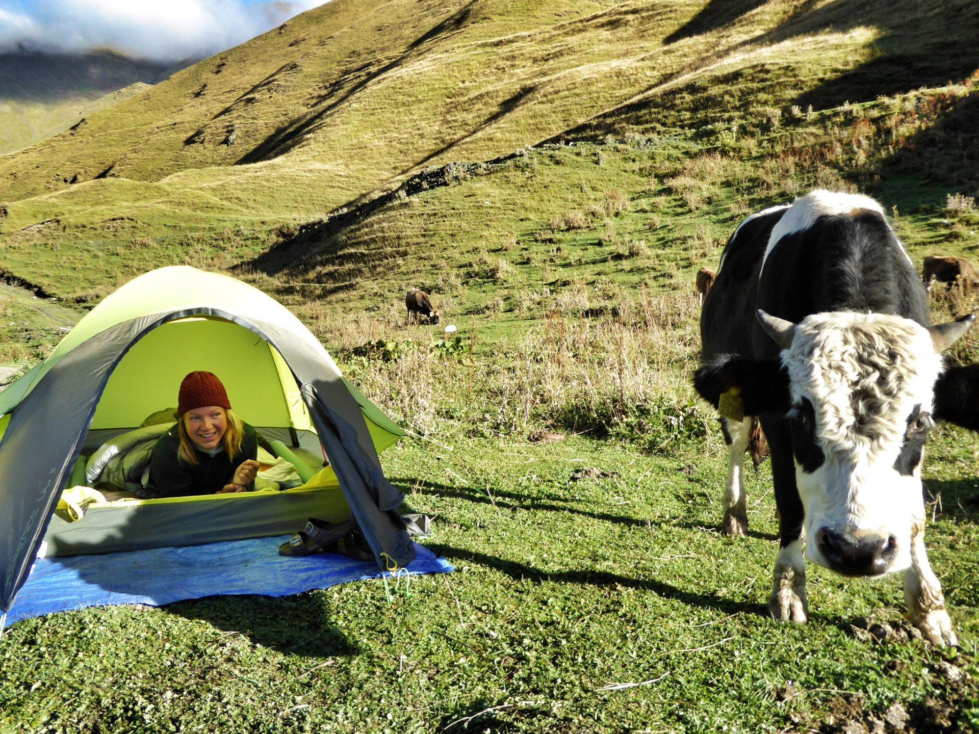 Wildcampen in Georgien, Ushguli, Swanetien mit Kühen, Weltreise, Reiseblog, To The World's End