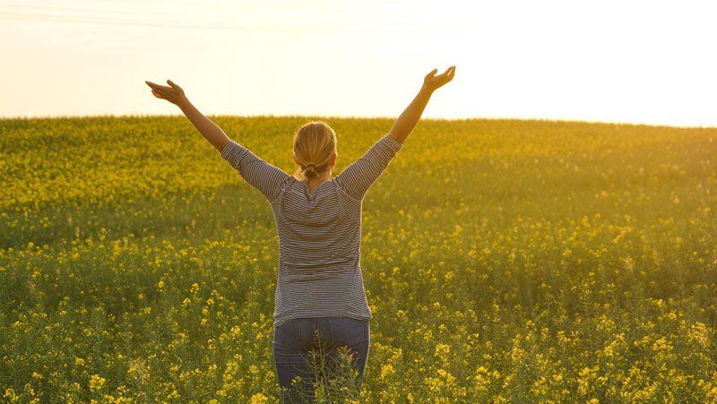 Rapsfeld in Deutschland, To The World's End, Weltreiseblog, Reiseblog, Weltreise