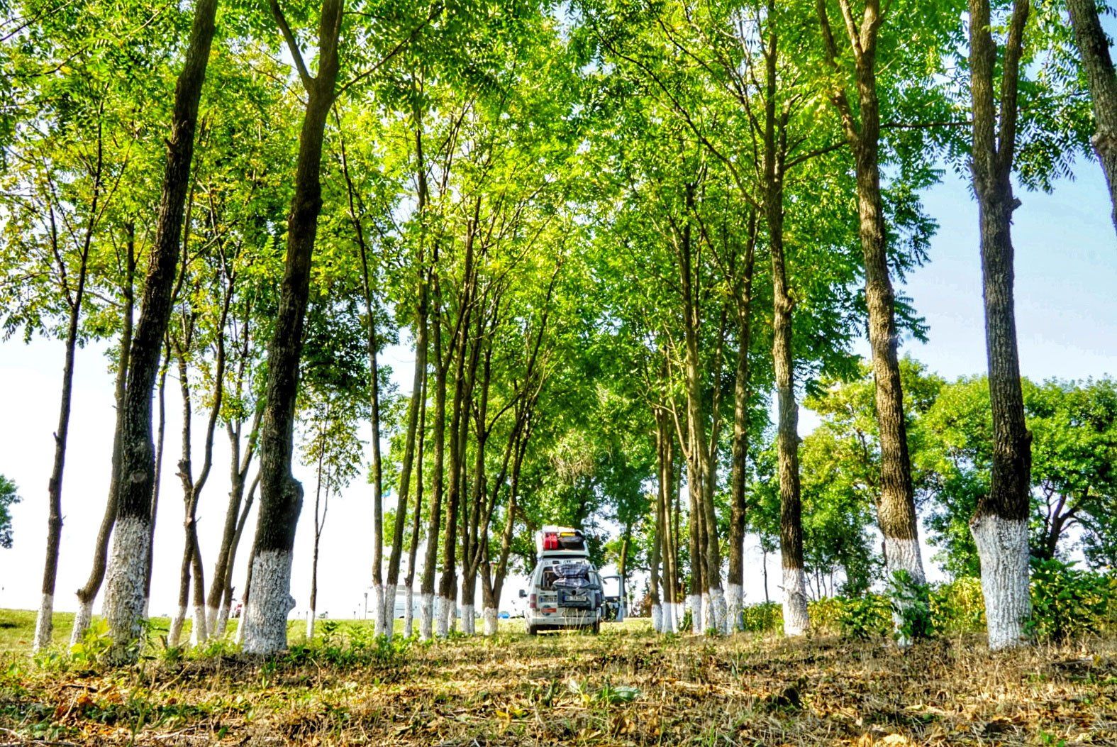 Wildcampen in Russland, To The World's End, Weltreiseblog, Reiseblog, Weltreise