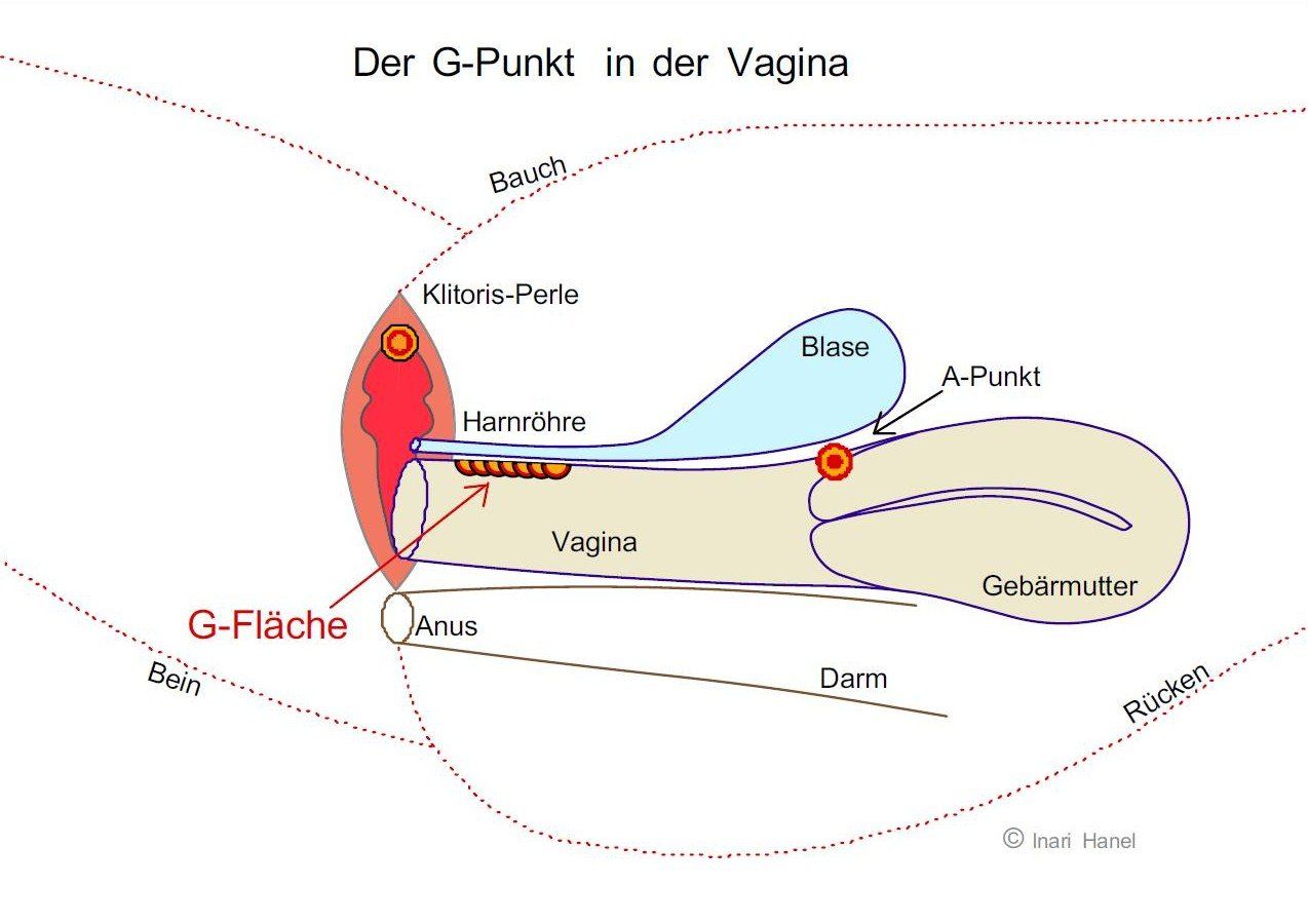 45+ G punkt wo liegt er bild , Sexualität und Beziehung im Wandel Teil 2 Heilung der Sexualität