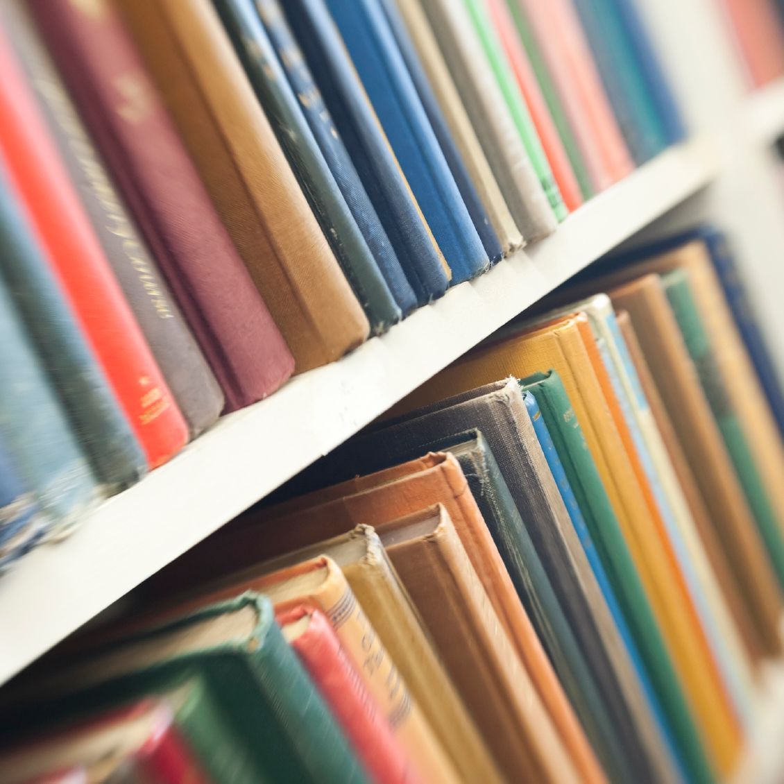 Более пятисот книг. Более пятисот книг