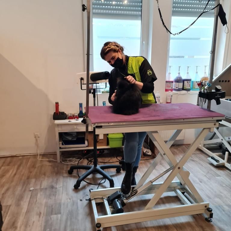 Lana Topmöller schneidet Hund auf Tisch