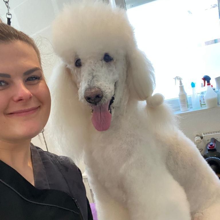Lana Topmöller Selfie mit weißem Königspudel mit Frisur