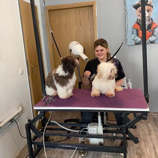 Lana Topmöller mit zwei Hunden auf dem Schnitt-Tisch