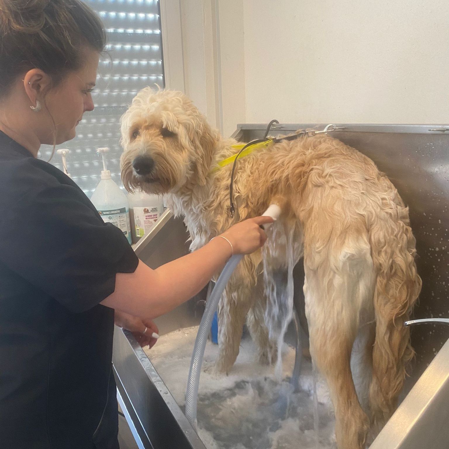 Lana Topmöller wäscht Hund in Badewanne