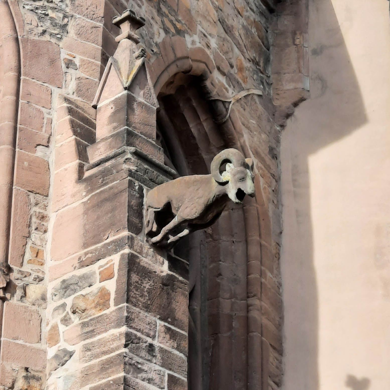 Pfeiler an der Fassade einer Kirche mit der steinernen Figur eines Widders, der aus der Fassade heraus zu springen scheint.
