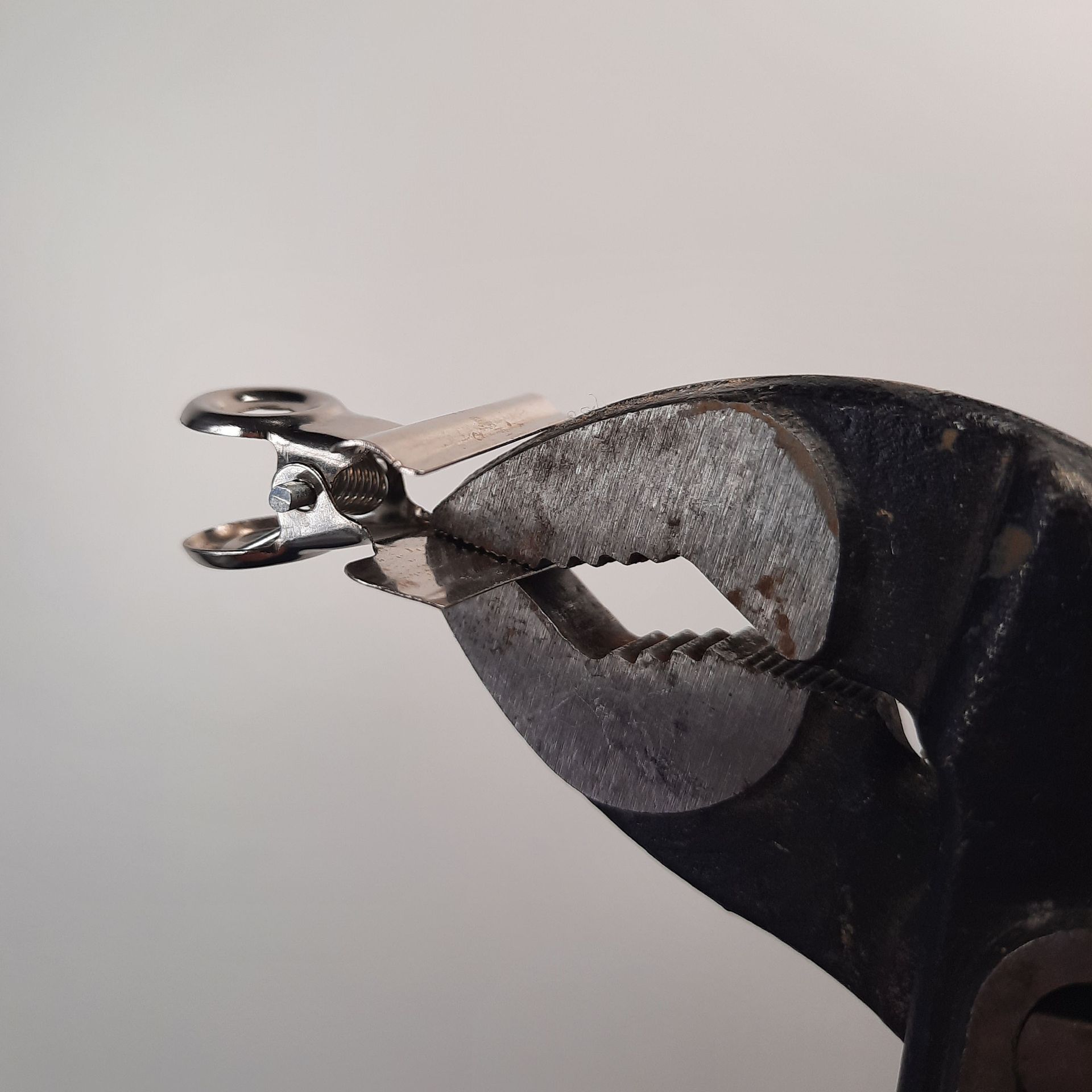 Kopf einer Rohrzange, mit der gerade eine Seite einer kleinen Metallklammer platt gedrückt wird.