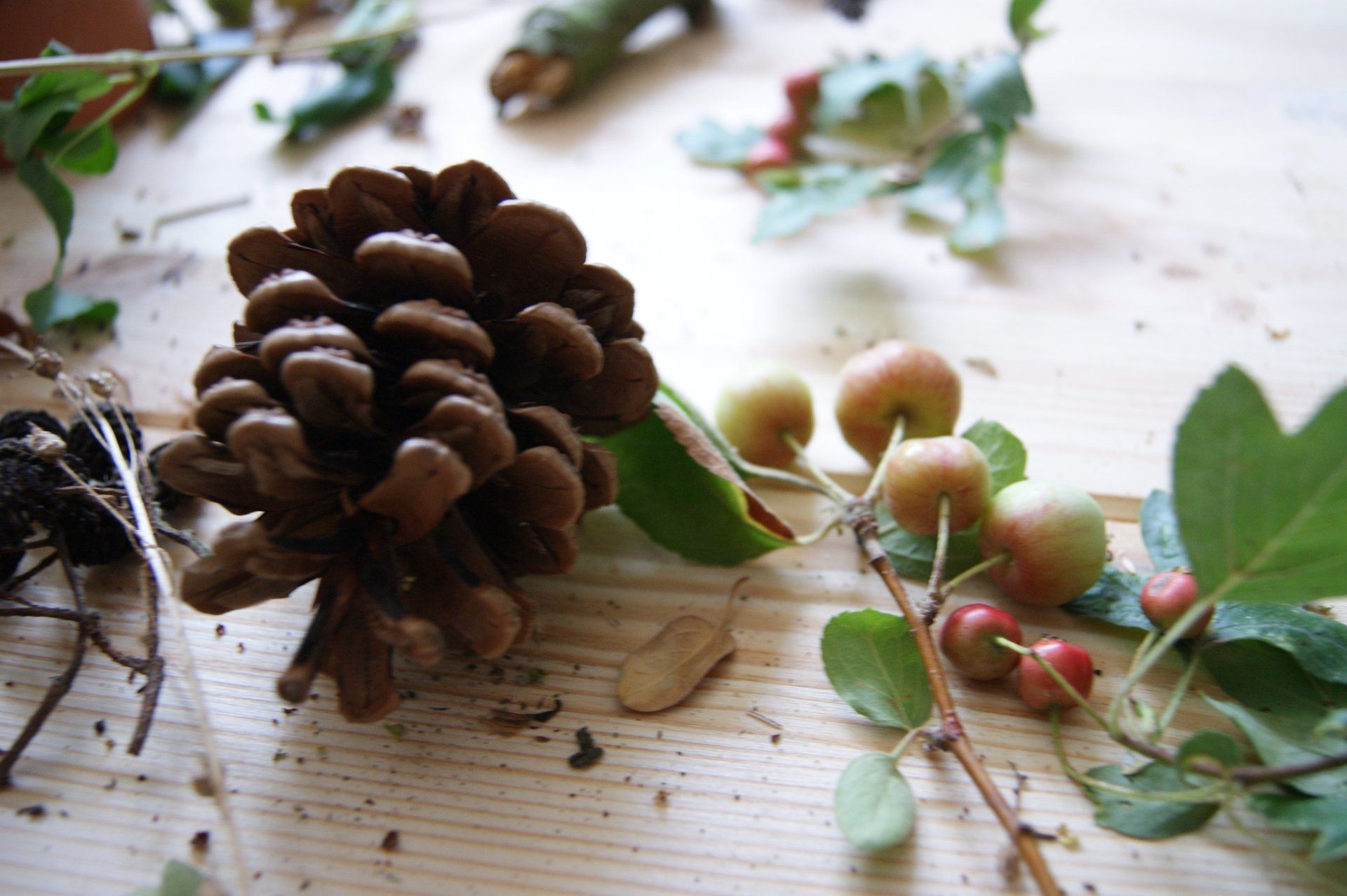 kräuter-garten-kreativ