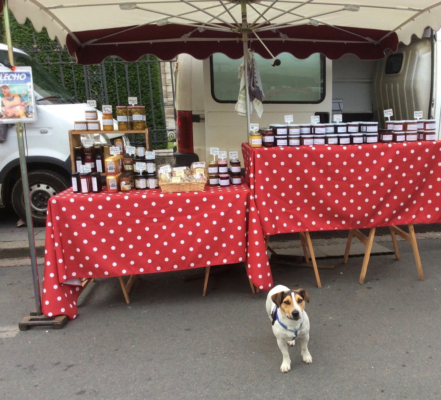 jam stall & jack Russel Arras Market France