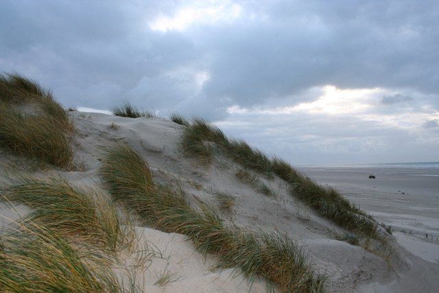 windswept sand dunes Berck France stormy sky