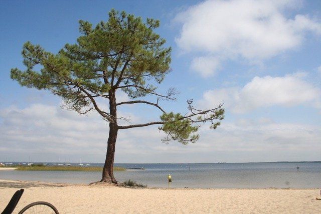 Beach at the Lake, Carcans France