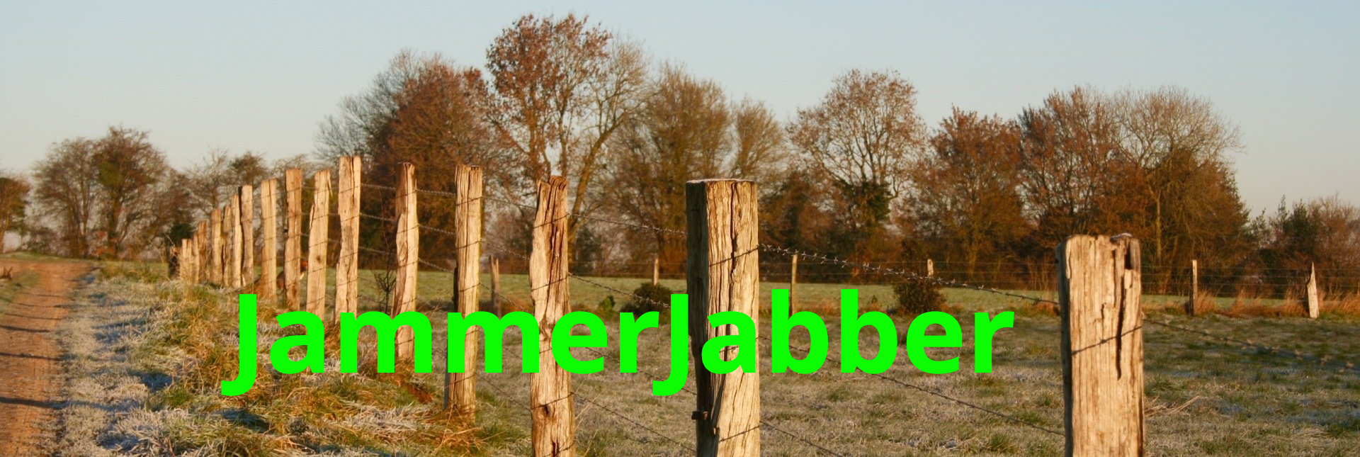 line of fwooden fenceposts in field in the morning sun