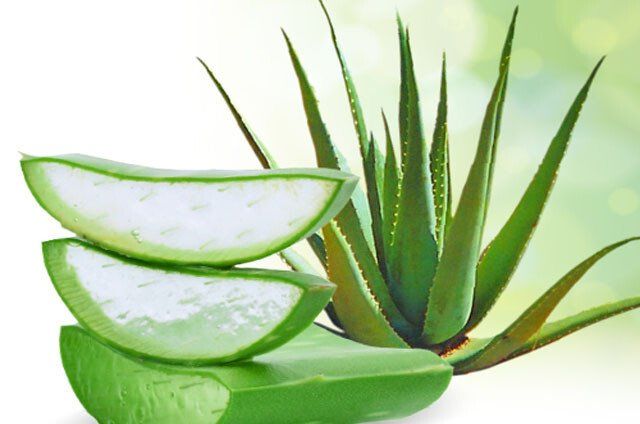 Aloe vera forever
