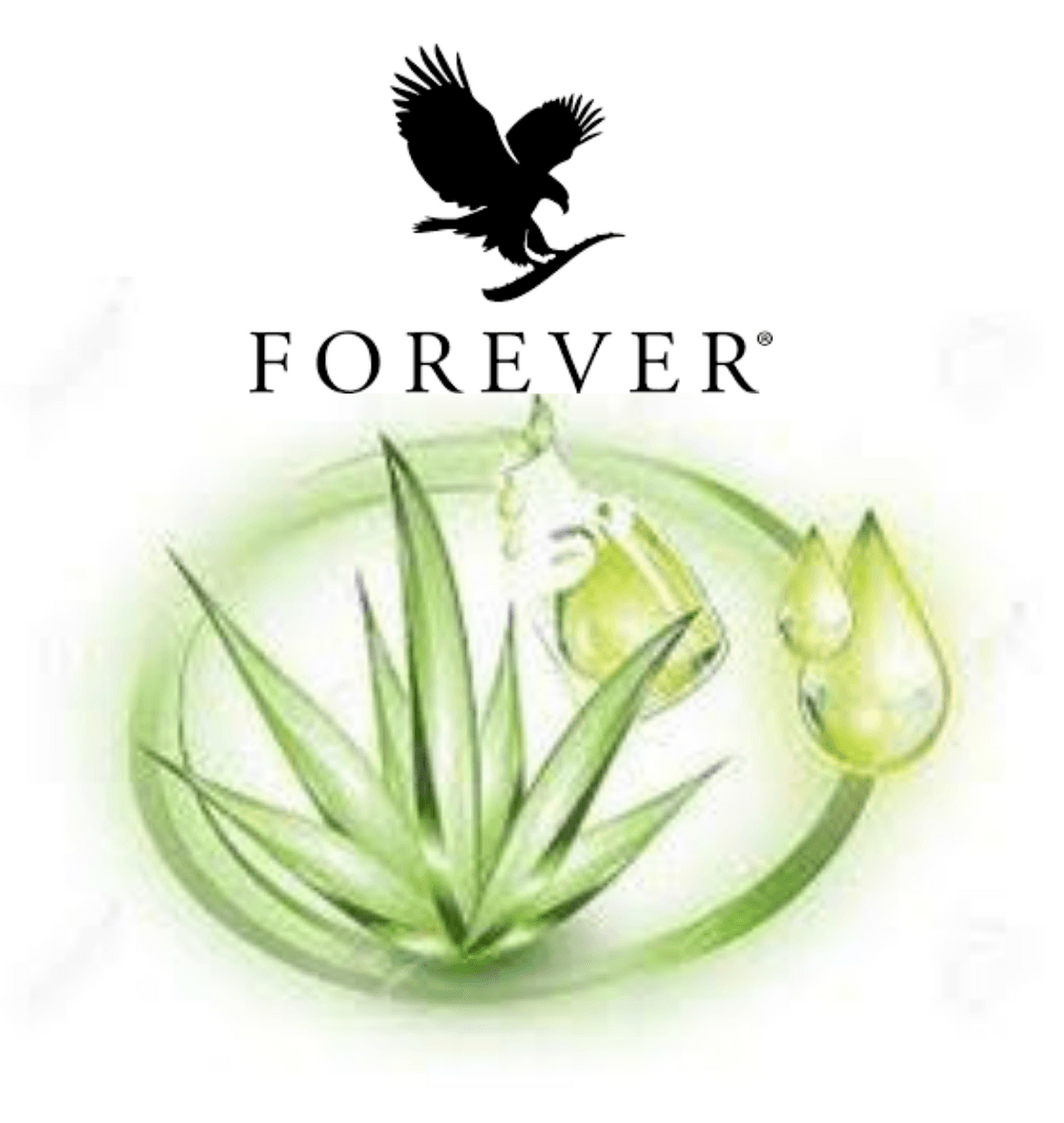 aloe vera de la plante a vous forever