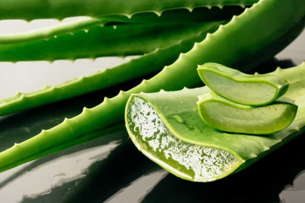 Aloe vera forever