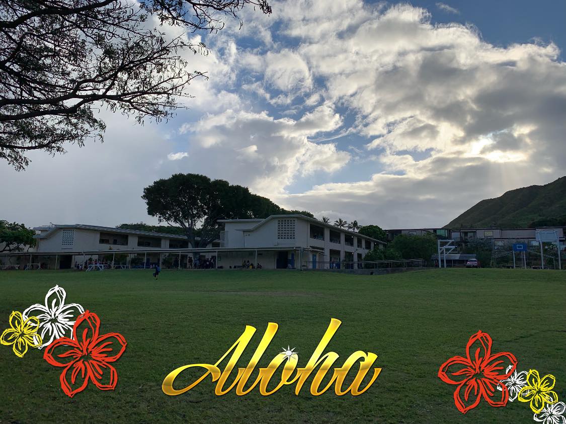 Waikiki School Videos