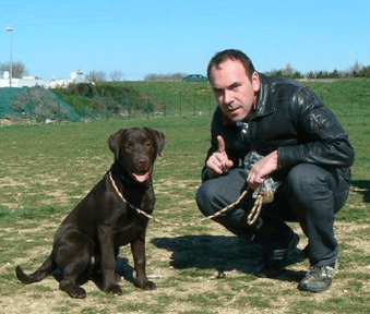 Labradors Du Grand Trianon Elevage Familial Lof De Labrador Chocolat