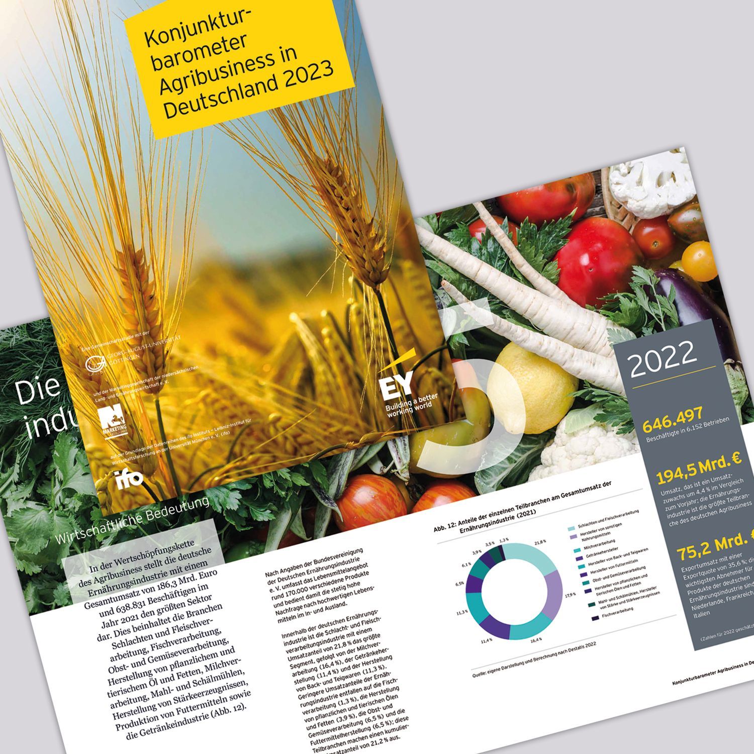 Studie, Agribusiness in Deutschland 2023