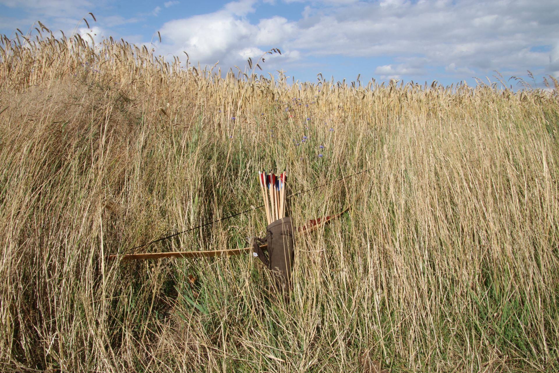 Pfeil und Bogen, Bogenschießen, Coaching, Therapie, Prozessbegleitung