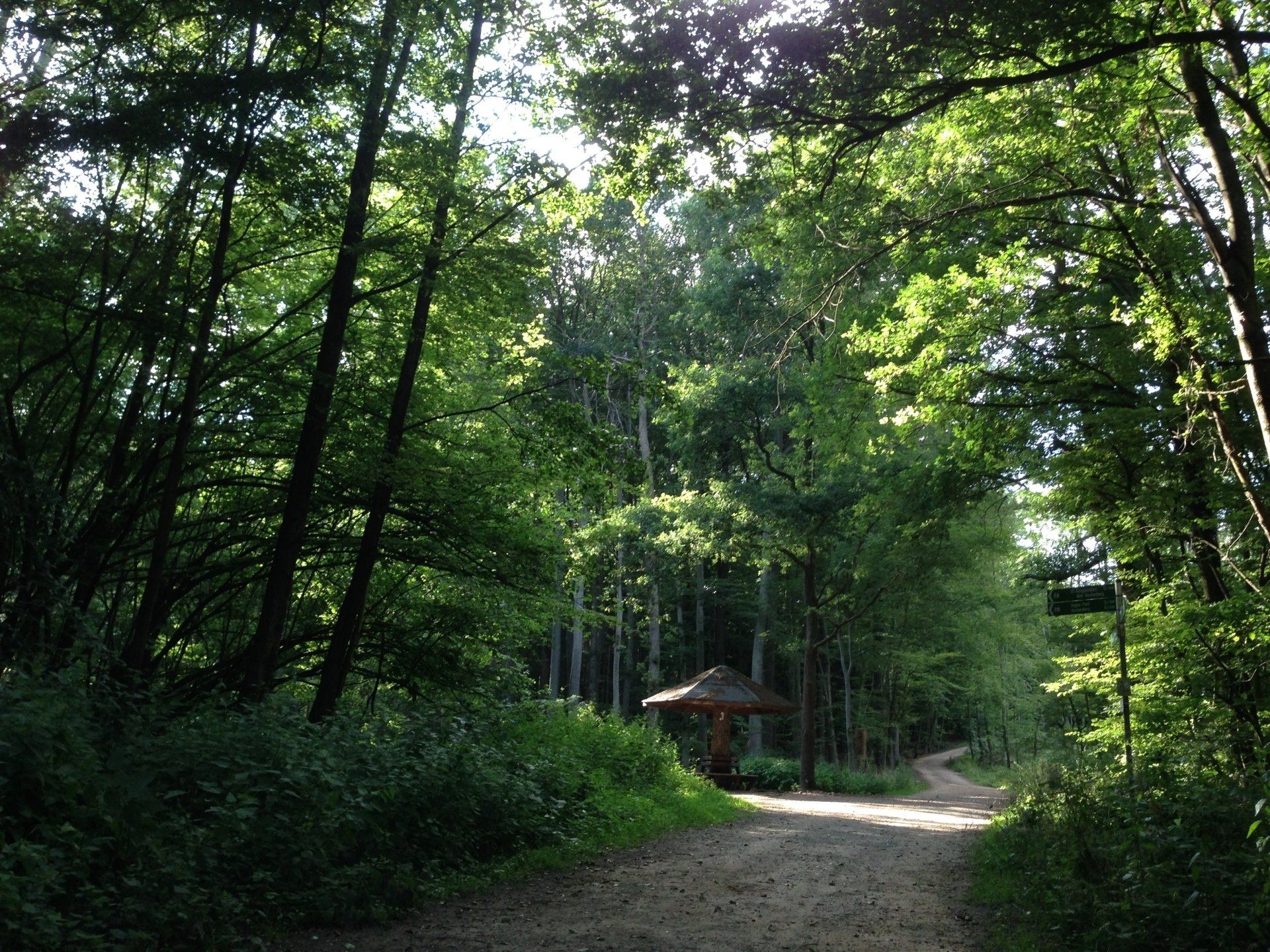 Waldbaden